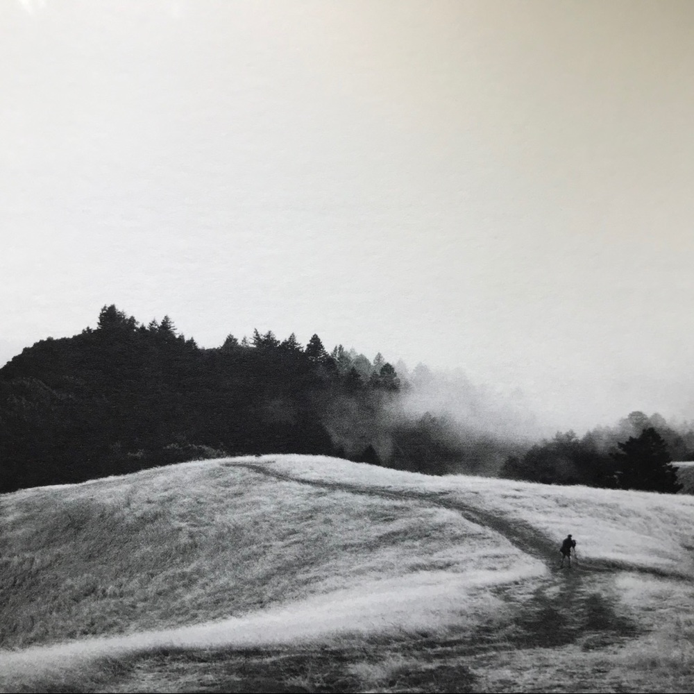 I Sell Photography Art Prints - Picture 16 of 16